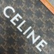 CELINE TRIOMPHE PRINTED COW LEATHER SMALL BAG 100502