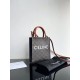 CELINE MINI VERTICAL CABAS IN TRIOMPHE CANVAS AND CALFSKIN WITH CELINE PRINT 194372