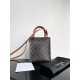 CELINE MINI VERTICAL CABAS IN TRIOMPHE CANVAS AND CALFSKIN WITH CELINE PRINT 194372