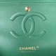 CHANEL CLASSIC FLAP HANDBAG Lambskin & Gold-Tone Metal Green A01112 