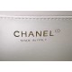 CHANEL MINI FLAP BAG WITH TOP HANDLE  AS2431 White