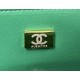 CHANEL MINI FLAP BAG WITH TOP HANDLE  AS2431 Green