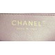 CHANEL MINI FLAP BAG WITH TOP HANDLE  AS2431 Purple