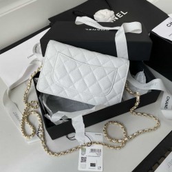 CHANEL CLASSIC WALLET ON CHAIN AP0250