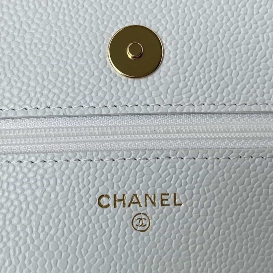 CHANEL CLASSIC WALLET ON CHAIN AP0250