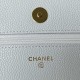 CHANEL CLASSIC WALLET ON CHAIN AP0250