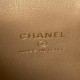 Chanel Small Vanity Chain Shoulder Bag  Black AP1447 