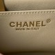 CHANEL MINI FLAP BAG AS1786 