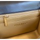 CHANEL MINI FLAP BAG AS1786 