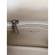 CHANEL MINI FLAP BAG AS1786 