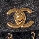 CHANEL DUMA BACKPACK  AS3860