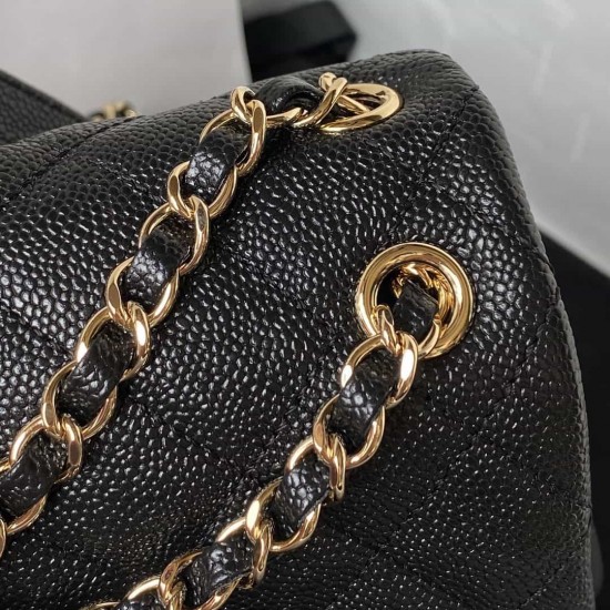 CHANEL DUMA BACKPACK  AS3860