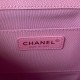 CHANEL DUMA BACKPACK  AS3860