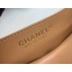 CHANEL Crossbody Bags AS2431 