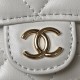 CHANEL Chain Handbag AP3226