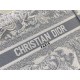 Christian Dior Small Book Tote Bag  M1265