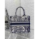 Christian Dior Small Book Tote Bag  M1265