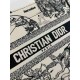 Christian Dior Small Book Tote Bag  M1265