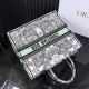 Christian Dior Large  Book Tote Bag  M1286 