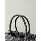 Christian Dior Large  Book Tote Bag  M1286 