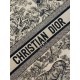 Christian Dior Large  Book Tote Bag  M1286 