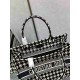 Christian Dior Medium Book Tote Bag  M1296 