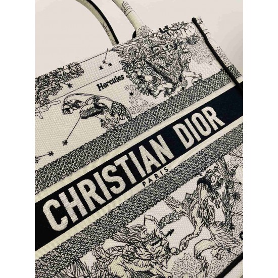 Christian Dior Medium Book Tote Bag  M1296 