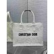 Christian Dior Medium Book Tote Bag  M1296 