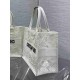 Christian Dior Medium Book Tote Bag  M1296 