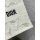 Christian Dior Medium Book Tote Bag  M1296 