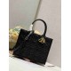 Christian Dior Medium Book Tote Bag  M1296 