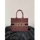 Christian Dior Medium Book Tote Bag  M1296 