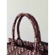 Christian Dior Medium Book Tote Bag  M1296 