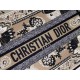 Christian Dior Medium Book Tote Bag  M1296 