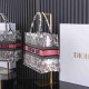 Christian Dior Medium Book Tote Bag  M1296 