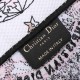 Christian Dior Medium Book Tote Bag  M1296 