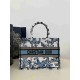 Christian Dior Medium Book Tote Bag  M1296 