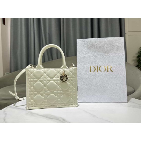 Christian Dior Small Book Tote Bag  M1325 