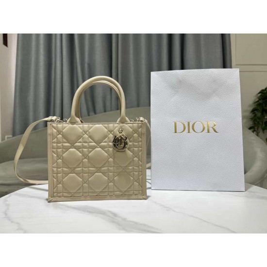 Christian Dior Small Book Tote Bag  M1325 