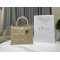 Christian Dior Small Book Tote Bag  M1325 