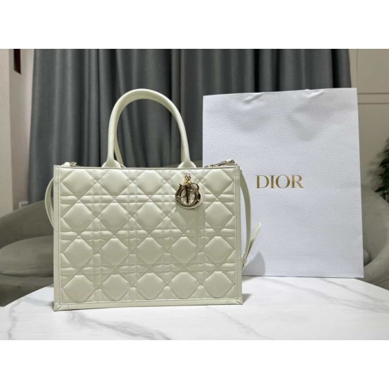 Christian Dior Medium Book Tote Bag  M1324