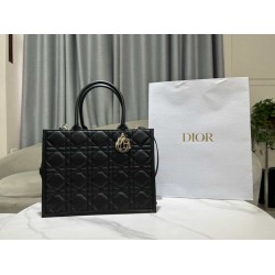 Christian Dior Medium Book Tote Bag  M1324