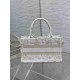 Christian Dior Mini Book Tote Bag  with Strap S5573