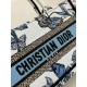 Christian Dior Mini Book Tote Bag  with Strap S5573