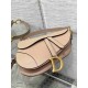 Christian Dior Saddle Bag with Strap M0455