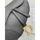 Christian Dior Saddle Bag with Strap M0455