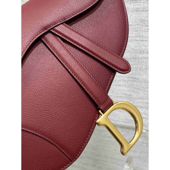 Christian Dior Saddle Bag with Strap M0455