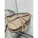 Christian Dior Saddle Bag with Strap M0455