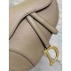 Christian Dior Saddle Bag with Strap M0455