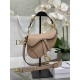 Christian Dior Mini Saddle Bag with Strap M0456